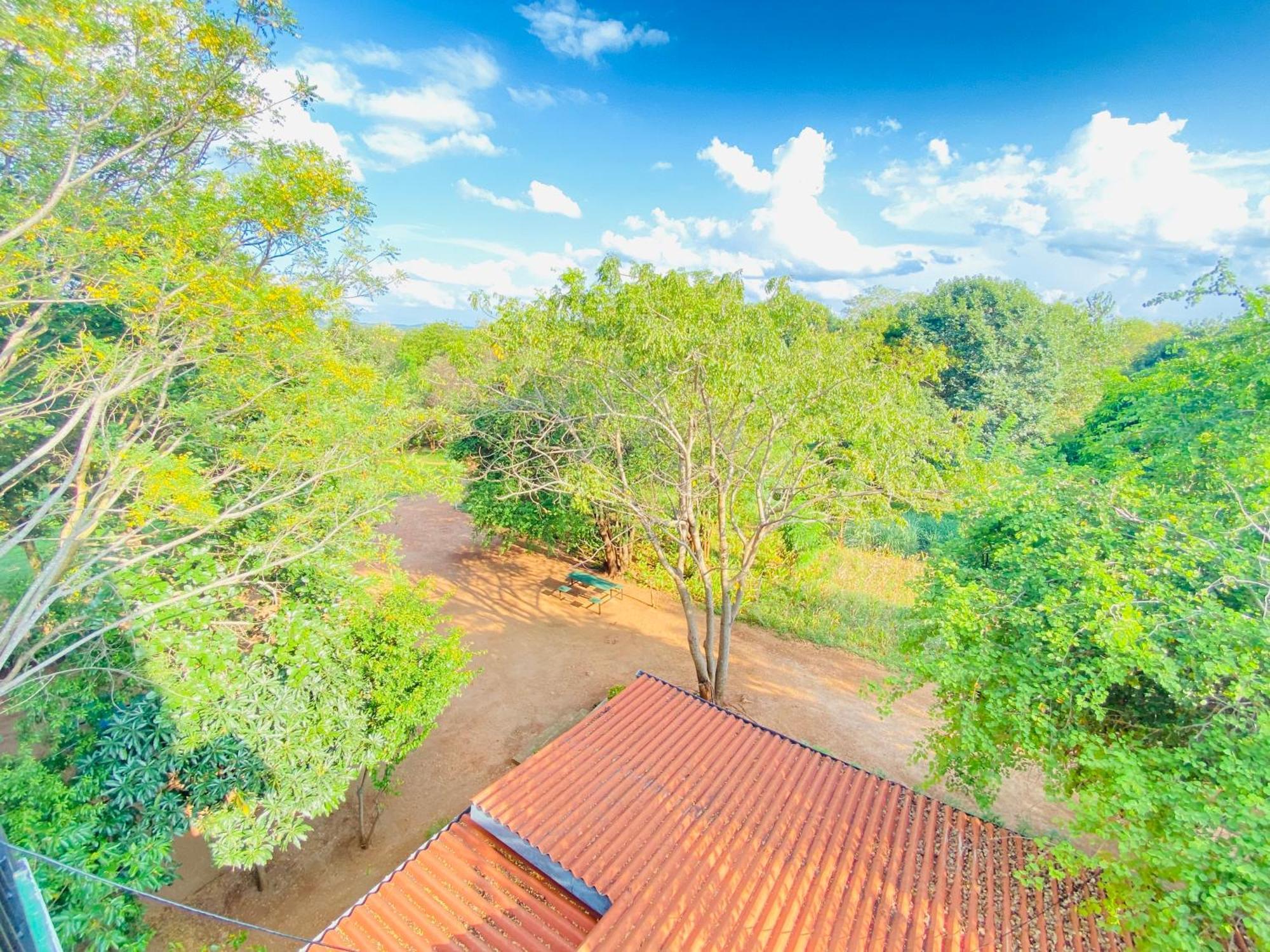 Ima Villa Sigiriya Luaran gambar