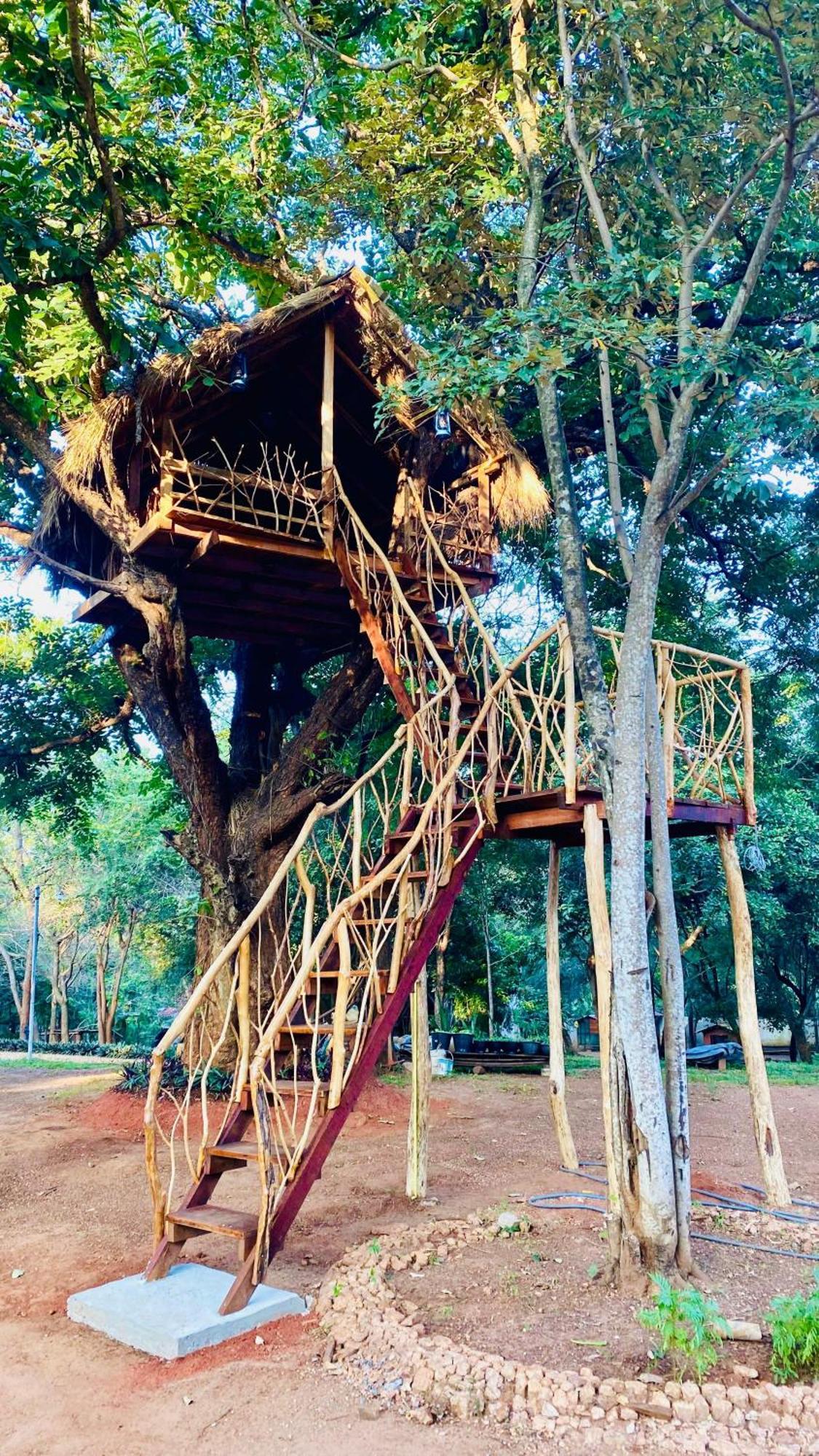 Ima Villa Sigiriya Luaran gambar
